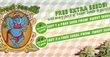 Sweet Seeds Free Seeds