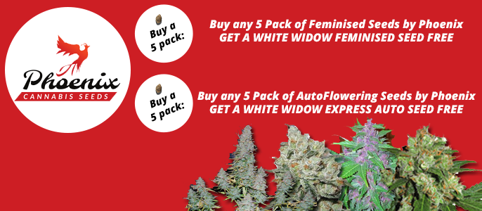 Discount cannabis seeds coupon code