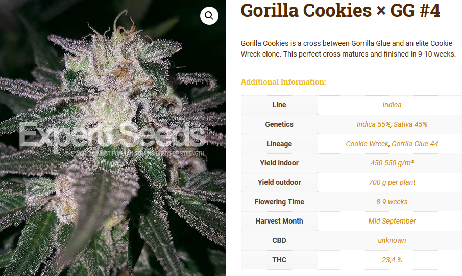 gorilla cannabis seeds coupon code
