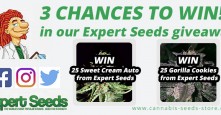 Expert Seeds