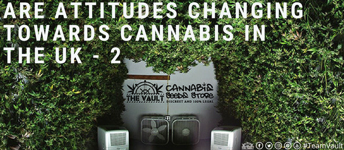 CBD Hope Cannabis Story