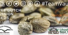 Dutch Passion The Vault Cannabis Seeds