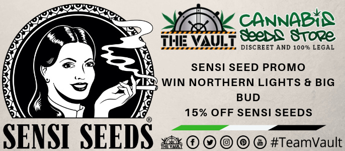 Sensi Cannabis Seeds