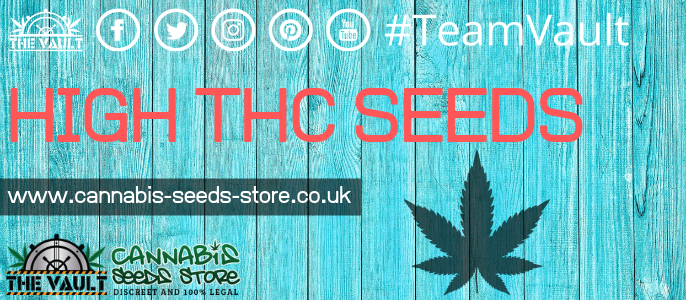 THC Cannabis Seeds