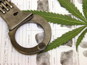 21_did_you_know_that_growing_cannabis_in_the_uk_is_still_illegal
