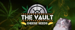 cheese_seeds_banner