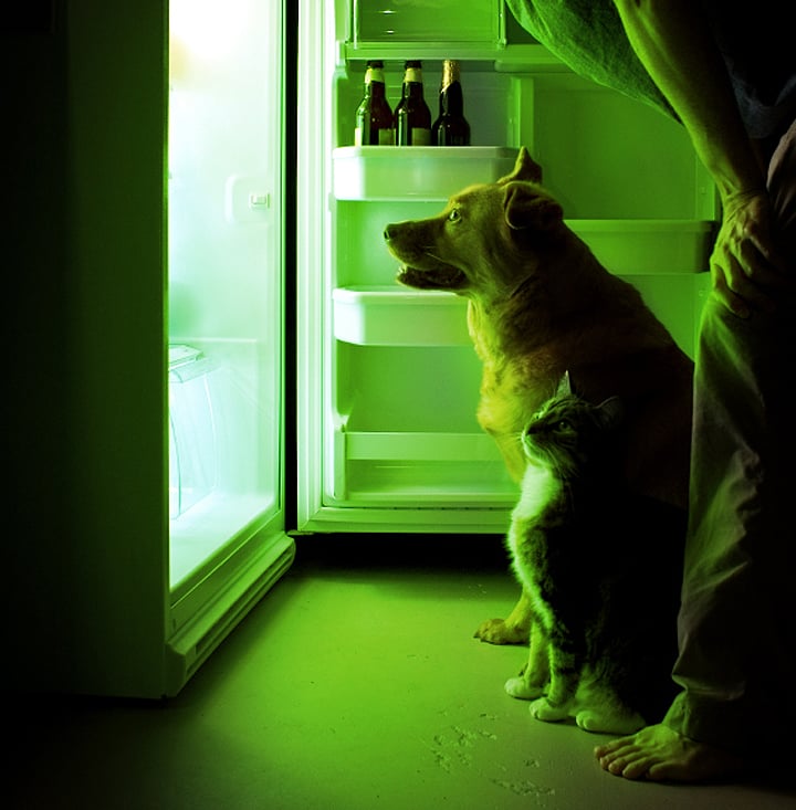 Keep them in your fridge instead