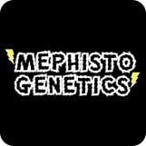 Mephisto Genetics