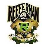 Reeferman Breeders Collection