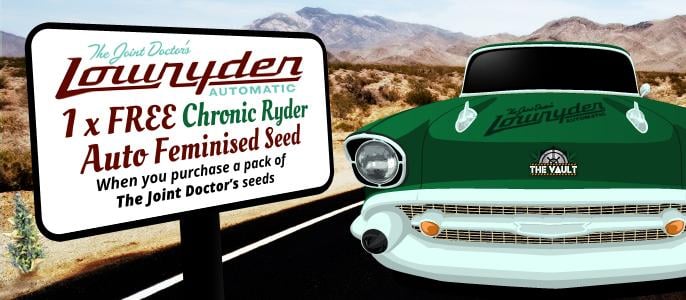 FREE_Chronic Ryder Auto Feminised Seed