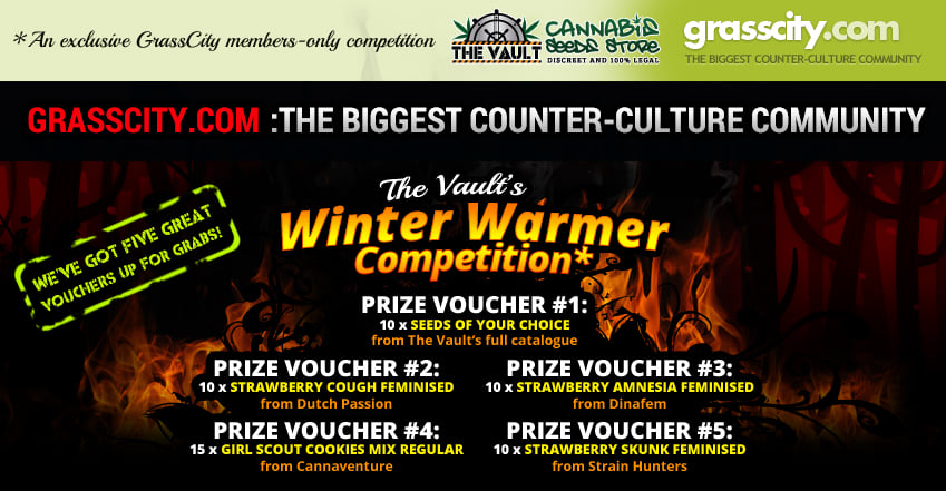 The Vault’s Winter Warmer Competition: Exclusive for Grasscity members