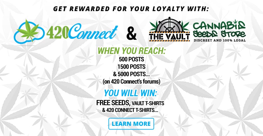 The Vault and 420 Connect Promotion
