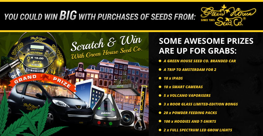 Vault Seeds - Greenhouse Seeds Co. Promo