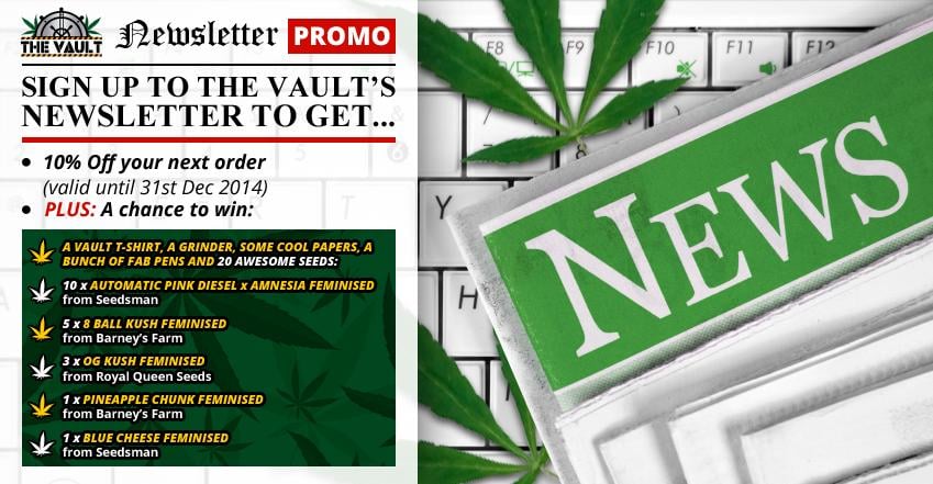 Vault Seeds Newsletter Promo Dec14 blog image