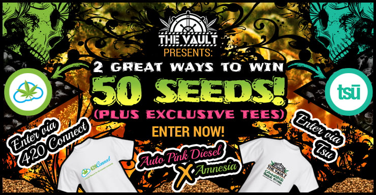 The Vault TSU and 420 Connect Promo