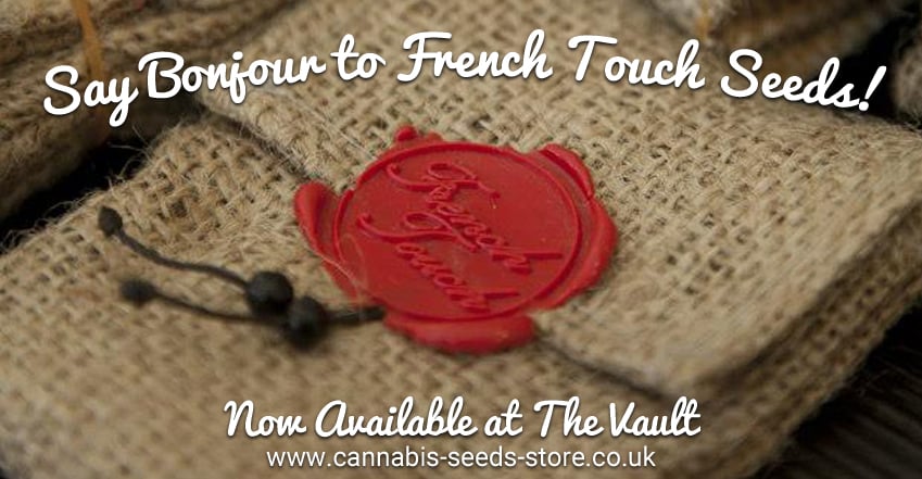 French_Touch_Seeds_Blog_Post_Image