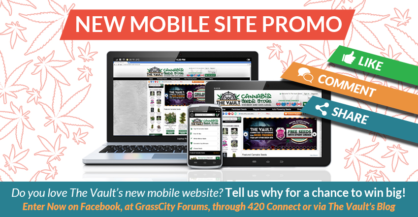 0 Vault mobile site promo blog main image