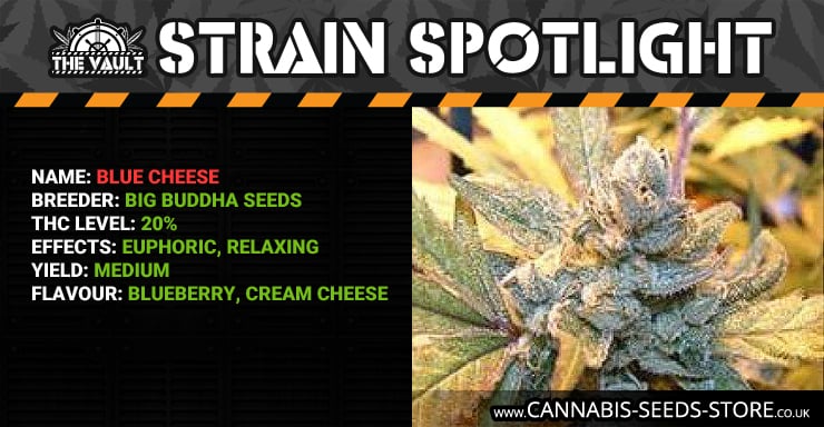 Strain Spotlight BC Blog