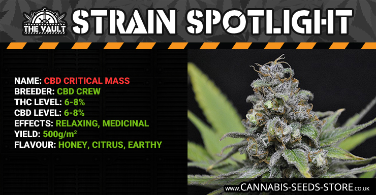 Strain Spotlight CBD CM Blog