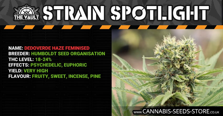 Strain Spotlight Dedoverde Haze Facebook