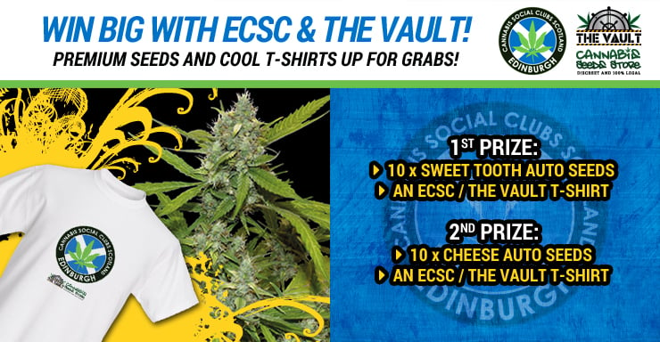 Win big with ECSC and The Vault Blog