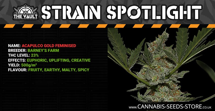 Strain Spotlight Acapulco Gold Facebook