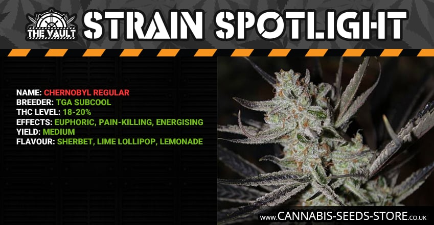 Strain Spotlight Chernobyl Facebook