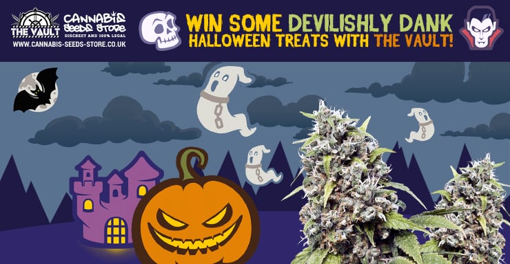 Halloween Promo Blog