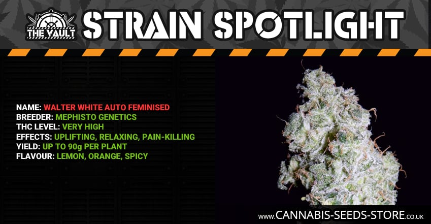 Strain Spotlight Walter White Facebook