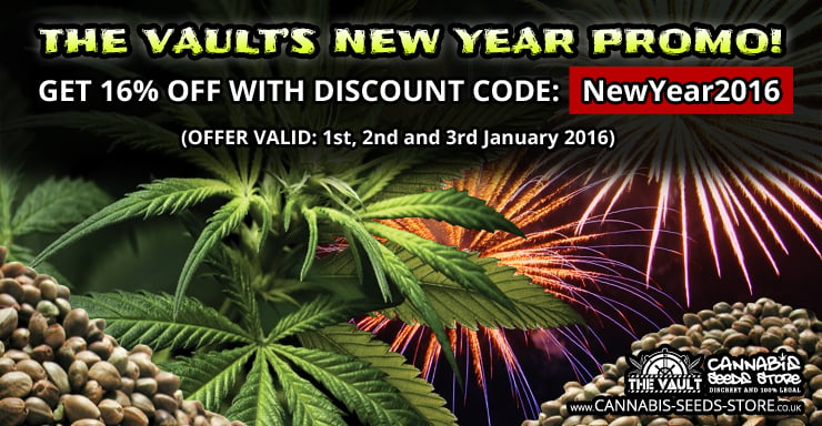 New Year Promo Blog