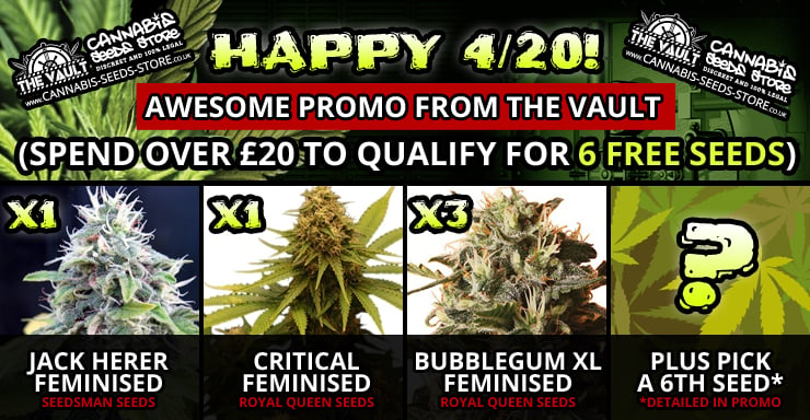 420 Promo Blog