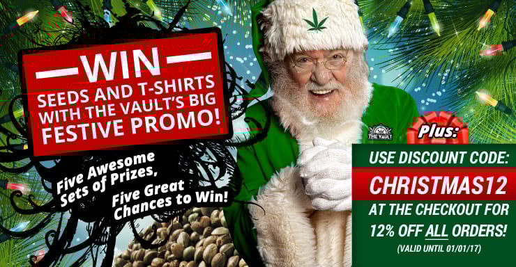 740x384 blog size Christmas Promo 2017