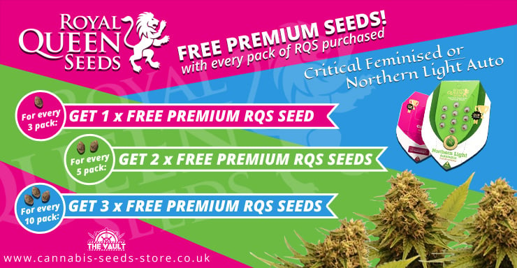 Royal Queen Seeds Promo