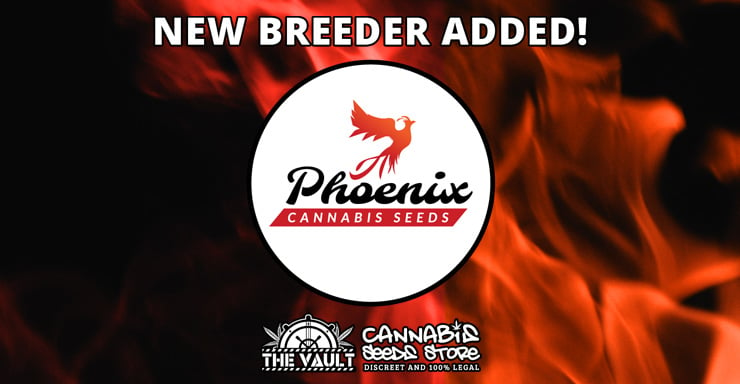 phoenix new breeder blog