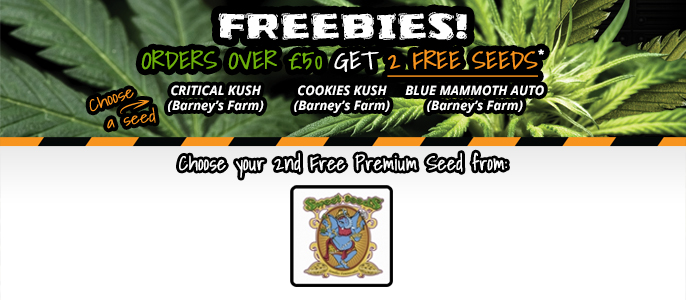 slider sweet seeds freebies