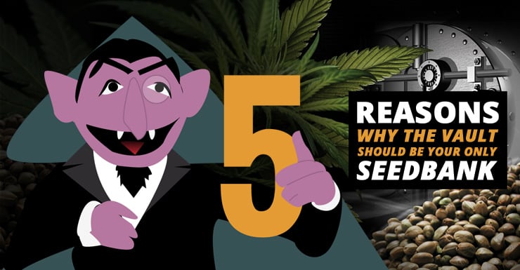 5 reasons blog