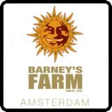 Barneys Farm