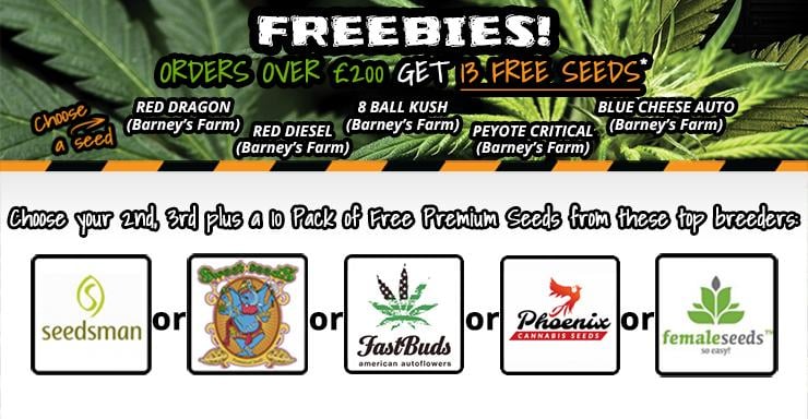 Free Seeds