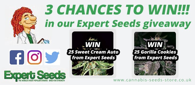 ExpertSeeds comp blog