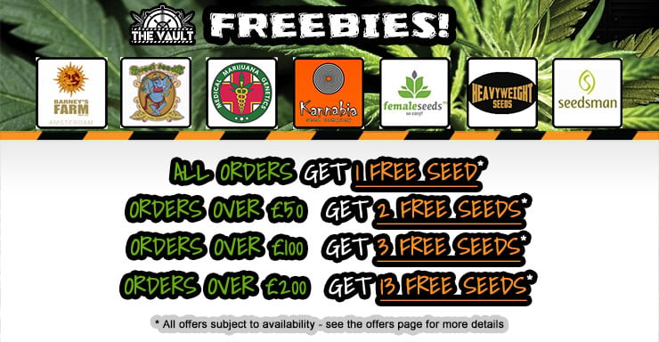 FreebieSeeds promo blog