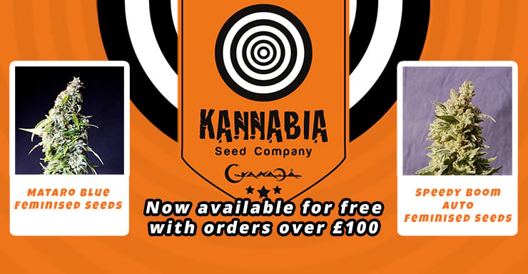 KannabiaSeeds_promo_blog