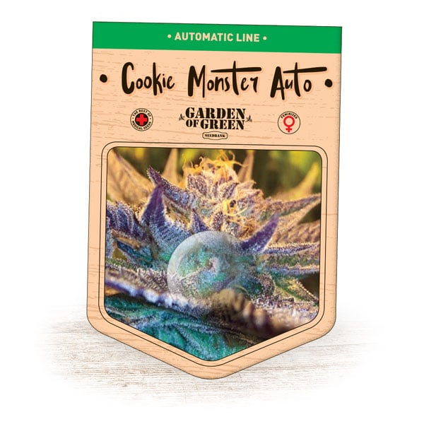 Cookie Monster Auto