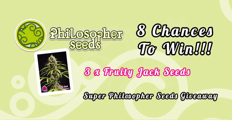 PhilosopherSeeds comp blog