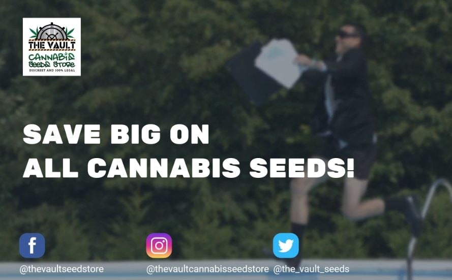 Cannabis Seeds