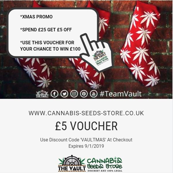 Vault Cannabis Seeds