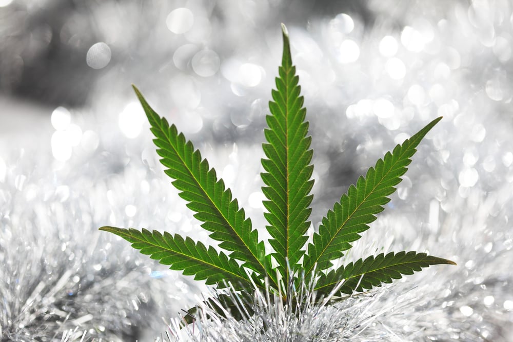 Christmas Weed Cannabis