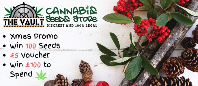 SeedBank Cannabis