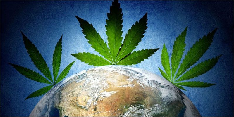 Send Cannabis Seeds
