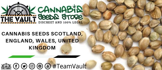 cannabis seeds uk