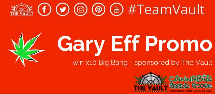 2 Chances To Win X10 Big Bang From Greenhouse Seeds In Gary Eff